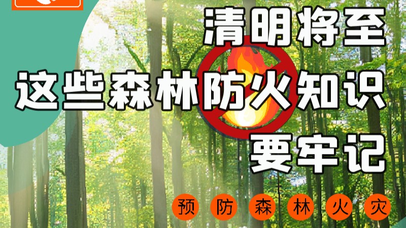 【甘快看】圖解|緊繃“安全弦”！清明，這些森林防火知識要牢記