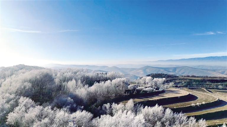 霧凇花開美如畫