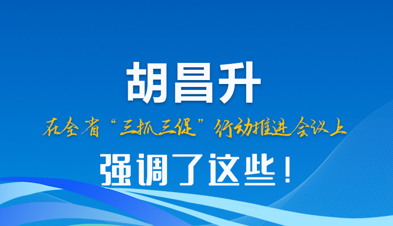 圖解|胡昌升在全省“三抓三促”行動(dòng)推進(jìn)會(huì)議上強(qiáng)調(diào)了這些！