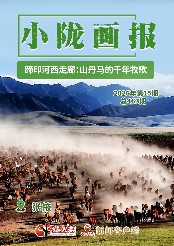 【小隴畫報·463期】蹄印河西走廊：山丹馬的千年牧歌