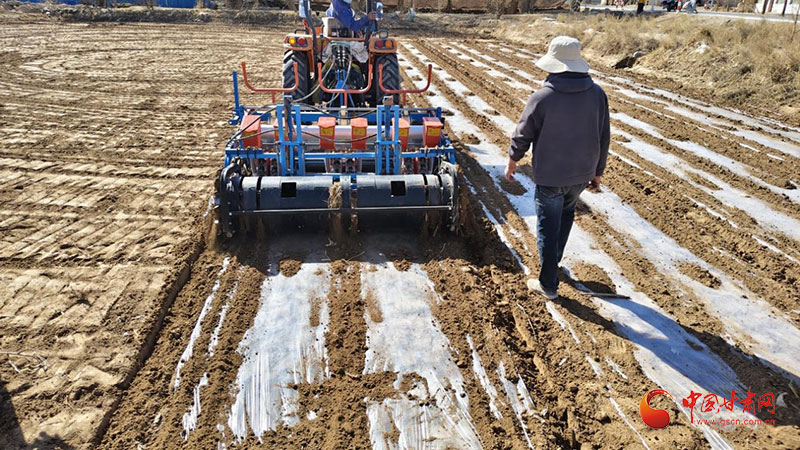 敦煌：棉花播種正當(dāng)時(shí) 機(jī)械化助力增收