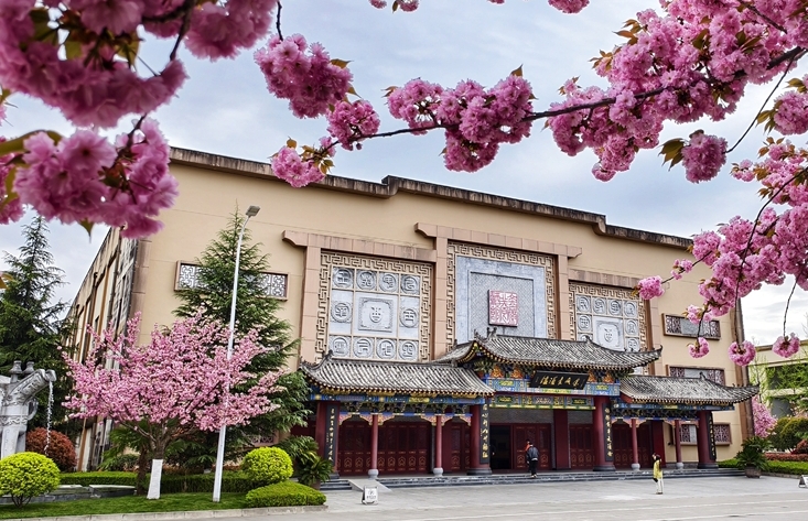 圖集｜“櫻”你而美，共赴金徽春日之約