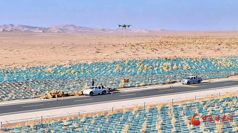 甘肅全面開(kāi)展春季植樹(shù)造林 山川覆綠氣象新