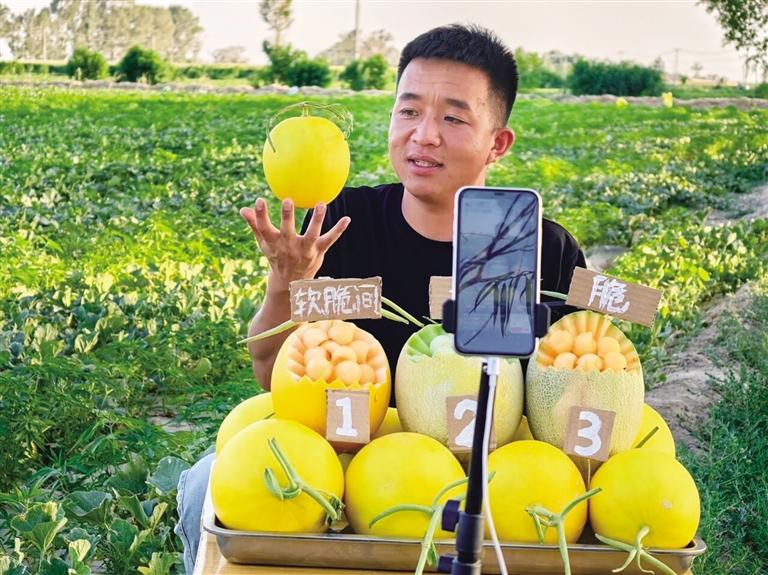 大漠深處，青春如梭梭般扎根