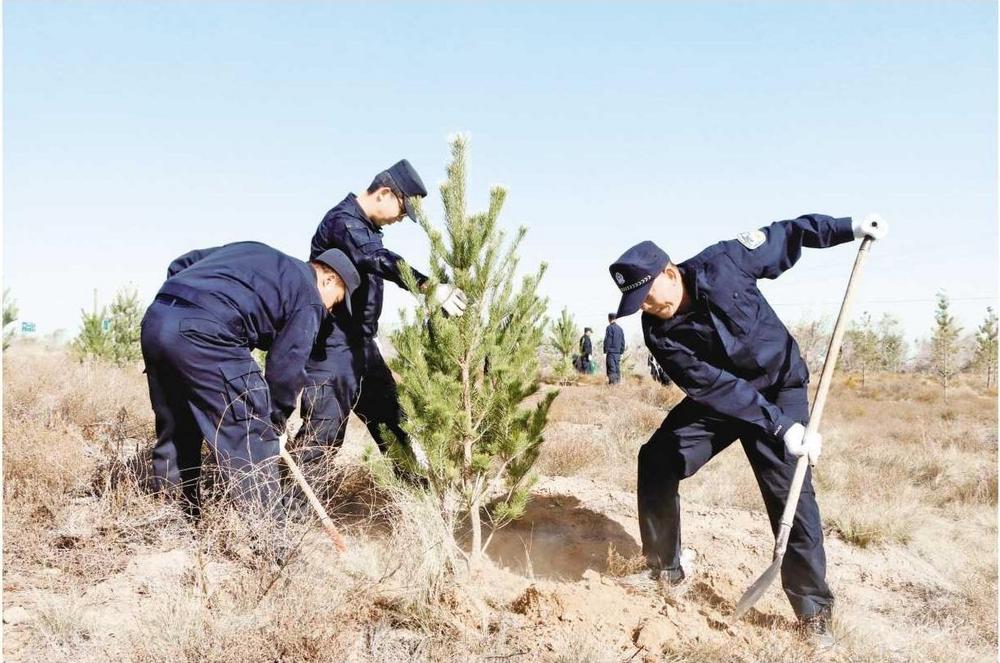 古浪公安為八步沙林場添新綠